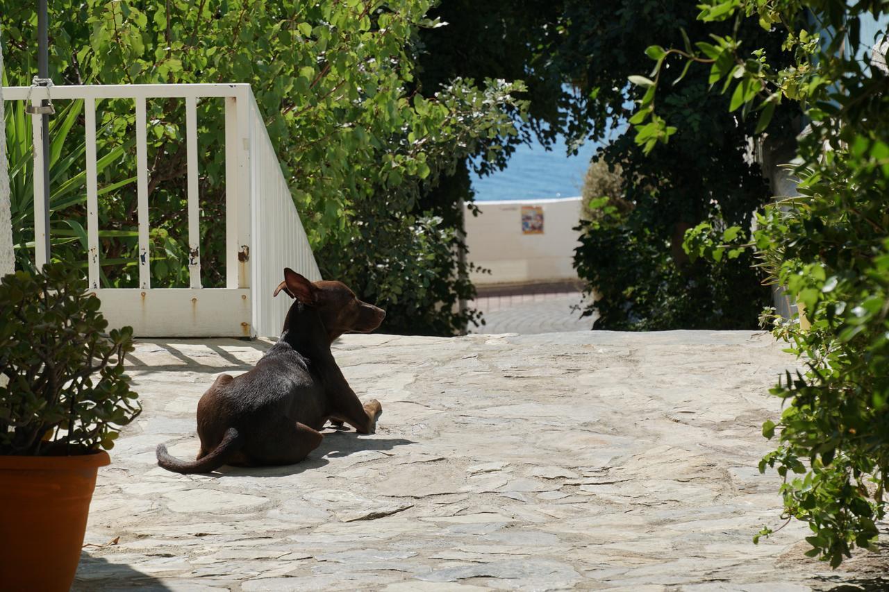 Galini Mare Hotel Agia Galini  Exterior photo